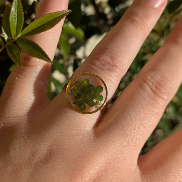 bague nature feuillage de sophora